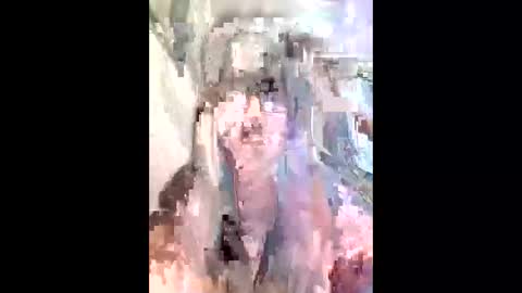 diana0108 online show from 11.29.25