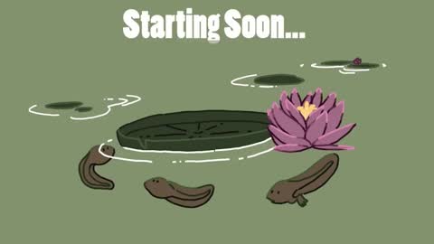 Snapshot of diana_smit_ chatting on 12.14.24 diana online show from 12.14.24