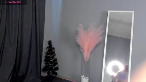 Dianne online show from 01.30.25