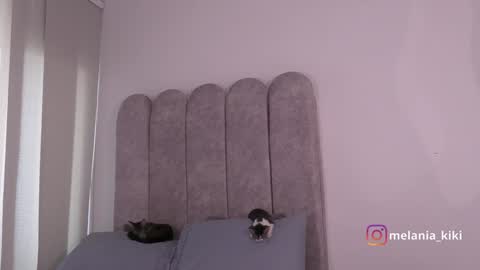 Snapshot of dianne_nanatzu chatting on 12.20.24 Melania - online show from 12.20.24