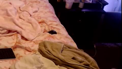 Snapshot of dickgiggler chatting on 03.01.26 Sparkx online show from 03.01.26