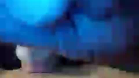 dicknobber online show from 07.23.26