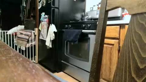 dickwack4u online show from 09.13.25