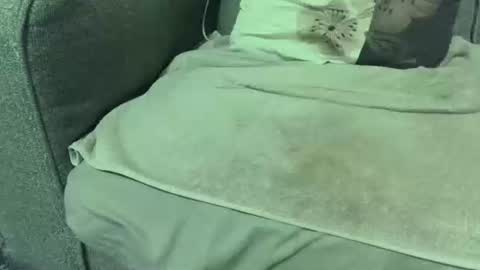 dickwack4u online show from 01.10.26