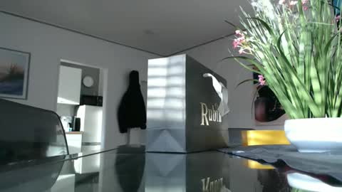 Snapshot of didiegal1 chatting on 12.21.25 squirtcock online show from 12.21.25