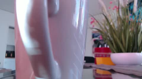 Snapshot of didiegal1 chatting on 03.04.26 squirtcock online show from 03.04.26