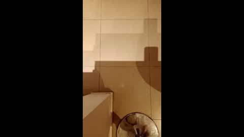 Snapshot of diegomoreno19 chatting on 02.21.26 Diego online show from 02.21.26