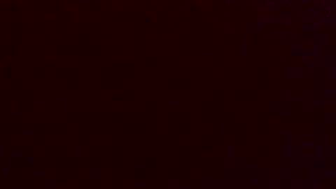 Dingler online show from 12.14.25