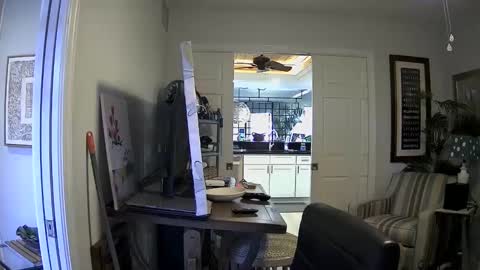 DirtkPitt Fun guy working online show from 01.03.25