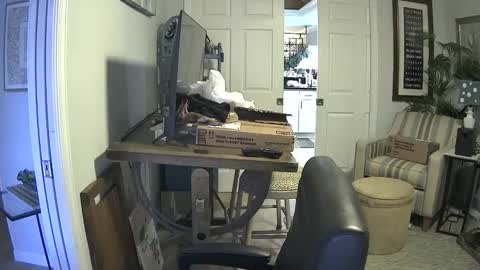 DirtkPitt Fun guy working online show from 01.21.25