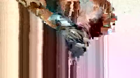 Snapshot of dirtmcgirt82 chatting on 02.11.25 dirtmcgirt82 online show from 02.11.25