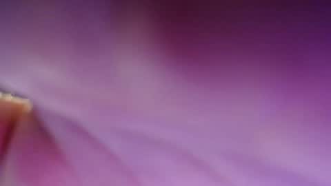 Dirty Kiss69 online show from 02.17.25