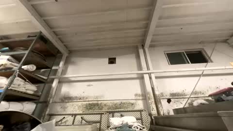 sexyguy online show from 10.27.25