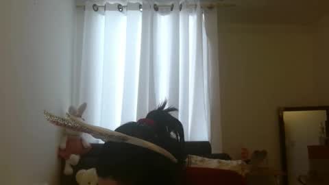 disneey2888 online show from 11.12.25