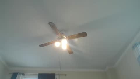 Your Best Worst Nightmare online show from 01.02.25