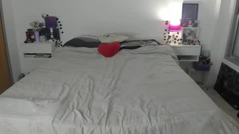 Snapshot of dissasterology chatting on 11.07.25 Lena online show from 11.07.25