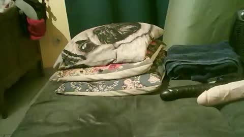 divimi online show from 11.15.25