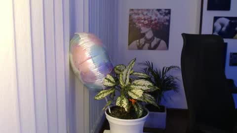 Hera online show from 11.29.25