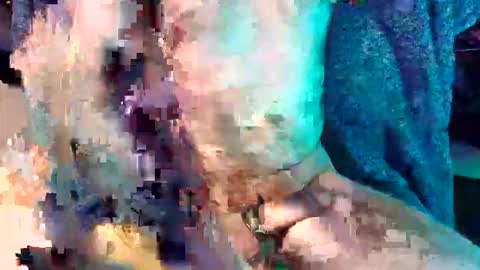 divinemindsalign online show from 04.02.26