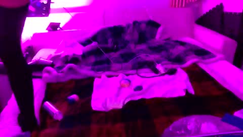 Izzy Knyx online show from 12.22.25