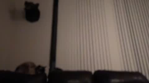 DJ Chaterbate online show from 02.04.26