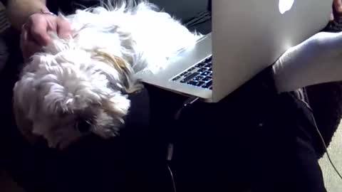 Snapshot of dkdad1966 chatting on 12.04.25 DKdad online show from 12.04.25