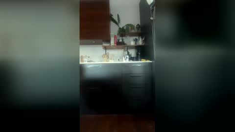 Snapshot of dm9313 chatting on 04.27.26 dm9313 online show from 04.27.26