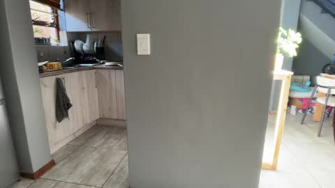 Dmitri online show from 04.28.26