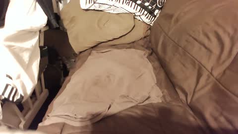 Snapshot of do4you2 chatting on 01.18.25 do4you2 online show from 01.18.25