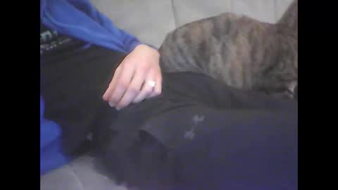 dodo28190 online show from 01.07.26