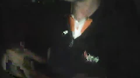 dolcedillei online show from 10.28.25