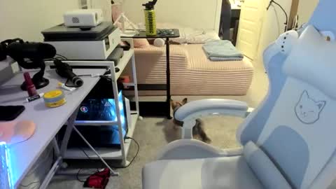 DOLLLFACE online show from 03.22.26