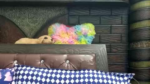 Snapshot of dollmeenu chatting on 11.21.25 dollmeenu online show from 11.21.25