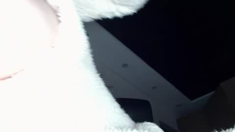 ILONA online show from 12.20.24