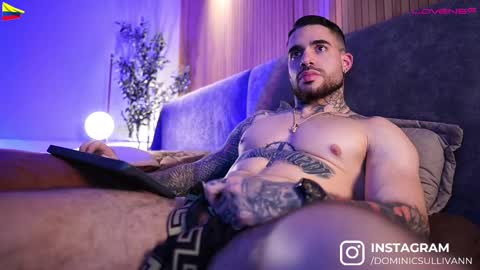 Snapshot of dominic_sullivan1 chatting on 02.19.25 Dominic Sullivan online show from 02.19.25