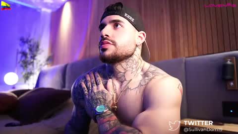 Snapshot of dominic_sullivan1 chatting on 03.01.25 Dominic Sullivan online show from 03.01.25