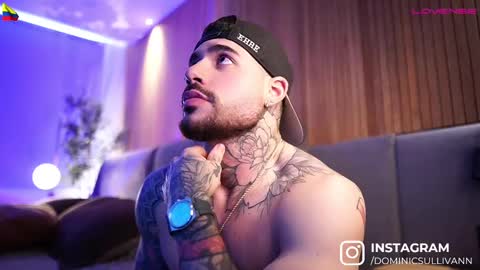 Snapshot of dominic_sullivan1 chatting on 03.01.25 Dominic Sullivan online show from 03.01.25