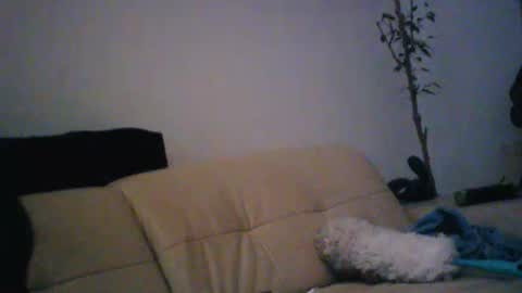 Snapshot of donosus chatting on 01.18.26 donosus online show from 01.18.26