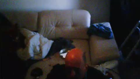 Snapshot of donosus chatting on 02.28.26 donosus online show from 02.28.26