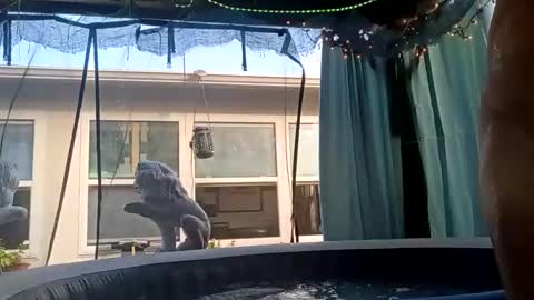 doobie1717 online show from 09.28.25