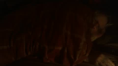 Hello  welcome to Slutsville  I am the Naked Chef  really  but you may call me Peter online show from 12.25.24