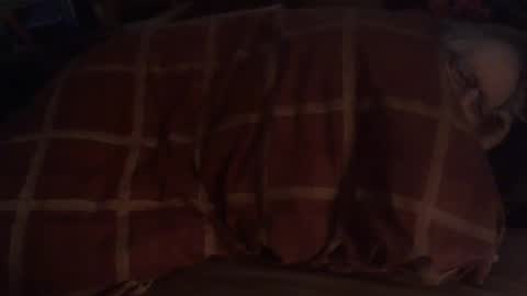 Hello  welcome to Slutsville  I am the Naked Chef  really  but you may call me Peter online show from 01.04.25