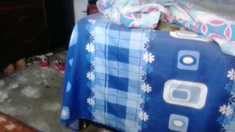 dreamreal online show from 10.01.25