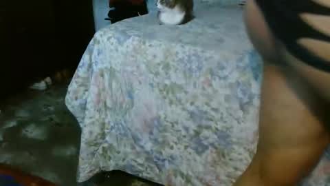 dreamreal online show from 10.31.25