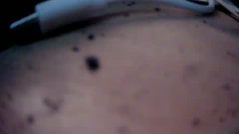 dreamy2020 online show from 01.22.25