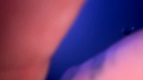 drippinggenie online show from 01.23.25