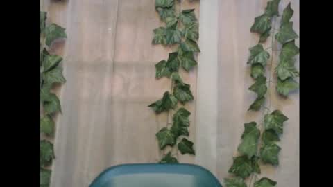 linda online show from 11.16.25