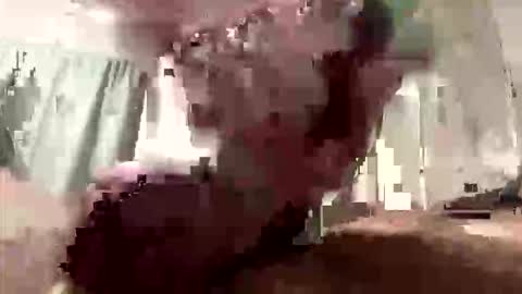 droppingloads82 online show from 03.08.26