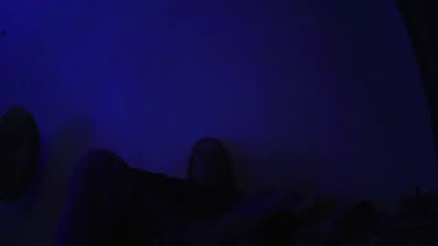 druid online show from 04.03.26