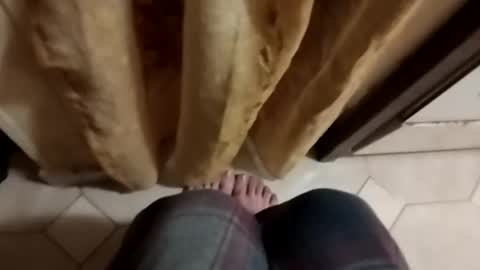 dthedog12 online show from 10.08.25